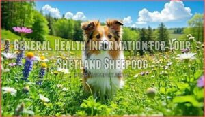 general health information for your shetland sheepdog