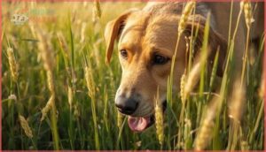 grass seeds and plant material grass seeds and plant material