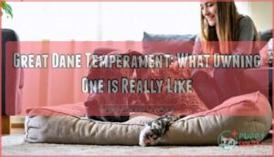 great dane temperament whats it like owning one