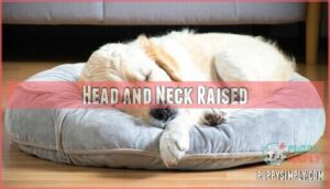 head and neck raised