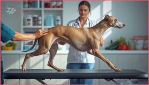 health and care for fast dog breeds
