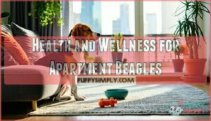 health and wellness for apartment beagles
