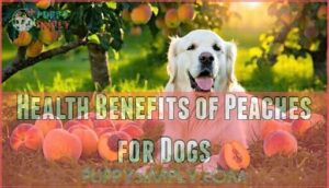 health benefits of peaches for dogs