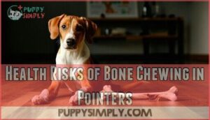 health risks of bone chewing in pointers