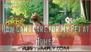 how can i care for my pet at home