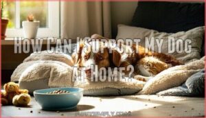 how can i support my dog at home
