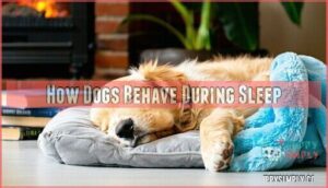 how dogs behave during sleep