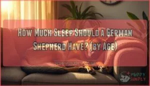 how much sleep should a german shepherd have how much sleep should a german shepherd have