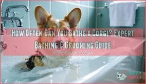 how often can you bathe a corgi