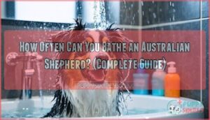how often can you bathe an australian shepherd