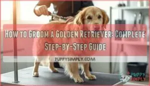 how to groom a golden retriever
