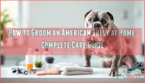how to groom an american bully at home how to groom an american bully at home