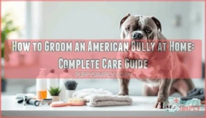 how to groom an american bully at home