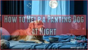 how to help a panting dog at night