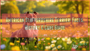 important information as well as facts about american staffordshire terrier important information as well as facts about american staffordshire terrier