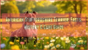 important information as well as facts about american staffordshire terrier