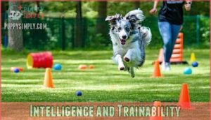 intelligence and trainability