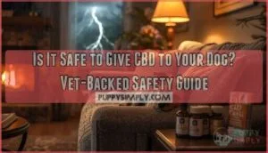 is it safe to give cbd to your dog