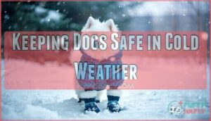 keeping dogs safe in cold weather