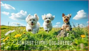 longest living dog breeds