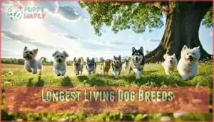longest living dog breeds
