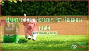 maintaining a healthy, pet-friendly lawn