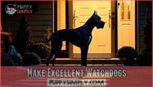 make excellent watchdogs