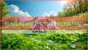 managing and reducing bulldog farts