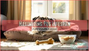 maximizing pug lifespan