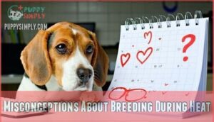 misconceptions about breeding during heat