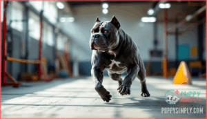 muscular breeds: health and exercise needs muscular breeds: health and exercise needs