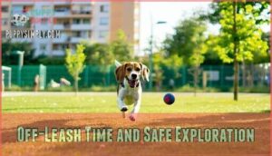 off-leash time and safe exploration