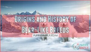 origins and history of bear-like breeds