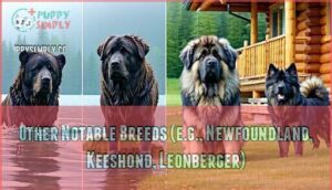 other notable breeds (e.g., newfoundland, keeshond, leonberger)