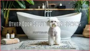 other odor solutions for bichons