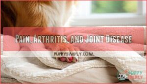 pain, arthritis, and joint disease