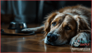 physical symptoms to watch for physical symptoms to watch for