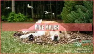 pine mulch