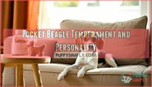 pocket beagle temperament and personality