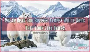 polar bear dog breeds