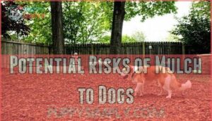 potential risks of mulch to dogs