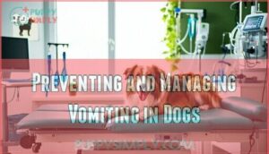 preventing and managing vomiting in dogs