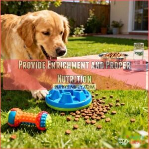 provide enrichment and proper nutrition
