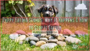 puppy eating stones