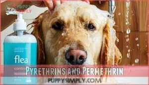 pyrethrins and permethrin