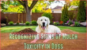 recognizing signs of mulch toxicity in dogs