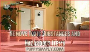 remove toxic substances and hazardous items