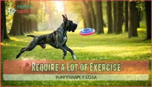 require a lot of exercise