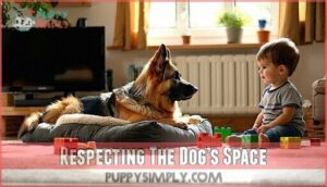 respecting the dog’s space