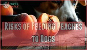 risks of feeding peaches to dogs
